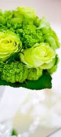 organizzatrice di matrimoni