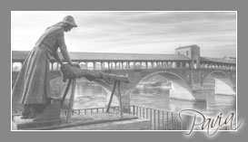 video di matrimoni a pavia