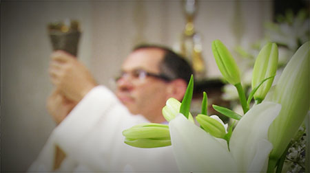 video matrimoni con riprese discrete a milano, pavia e lodi